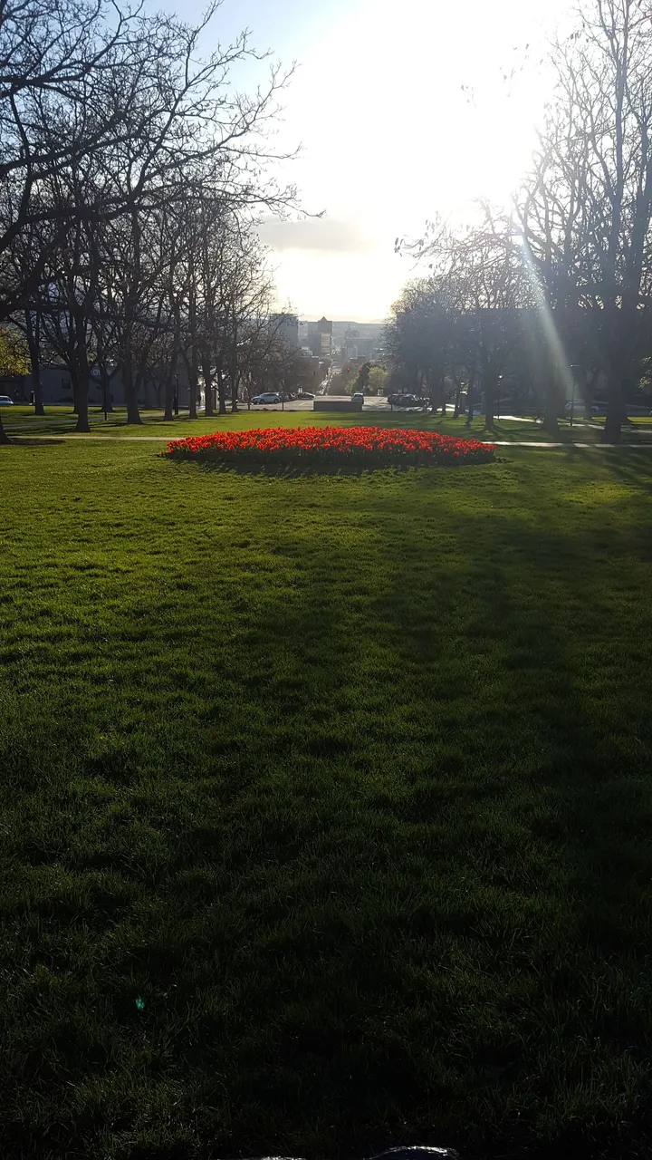 20180417_192333.jpg