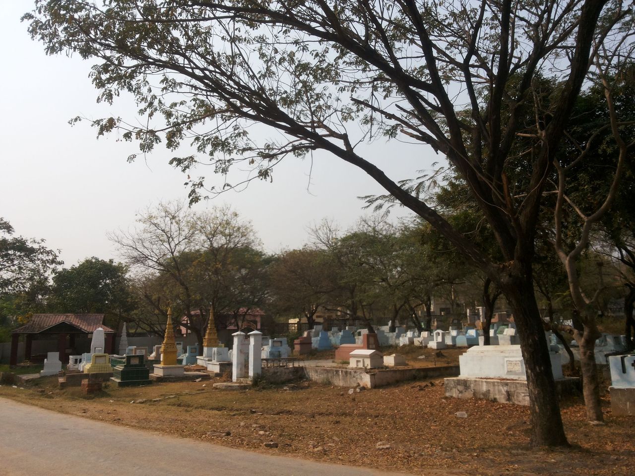 20180306_144617.jpg
