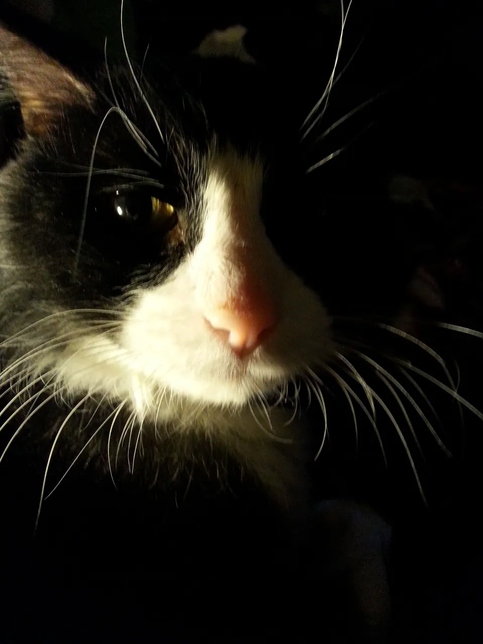 20150314_220104.jpg
