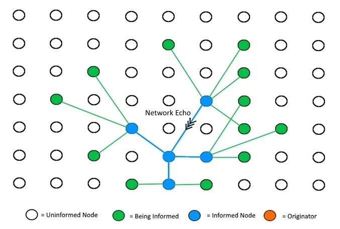 Network echo1.png