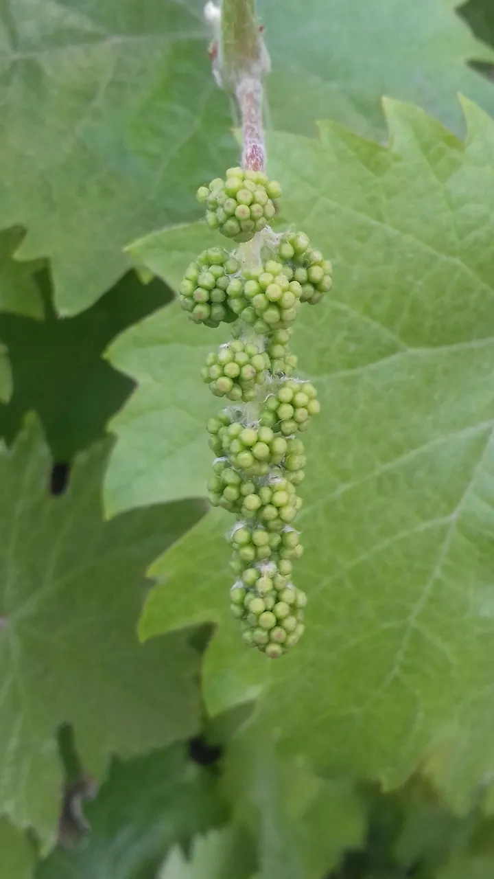 20180429_184804.jpg