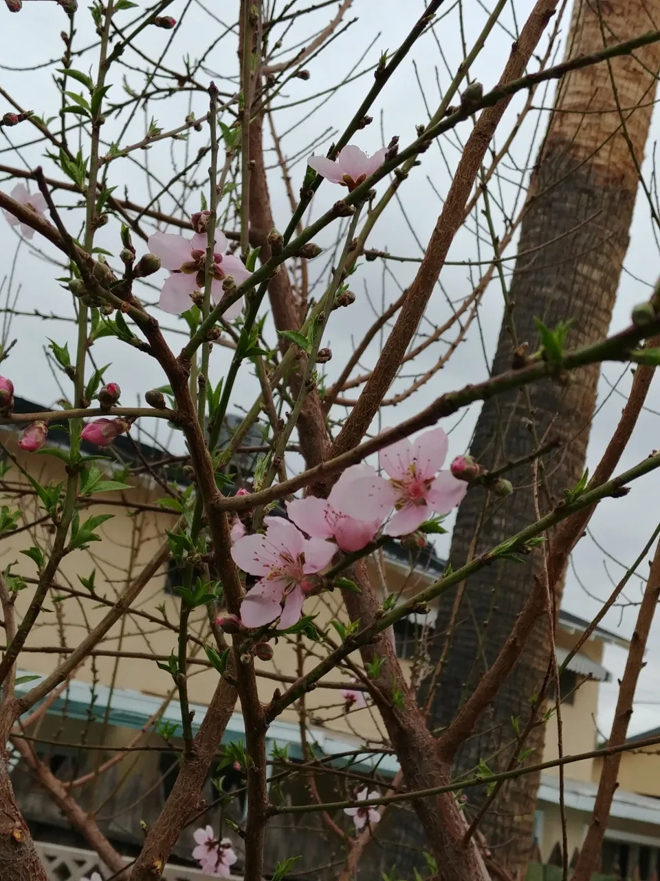 20180310_141306.jpg