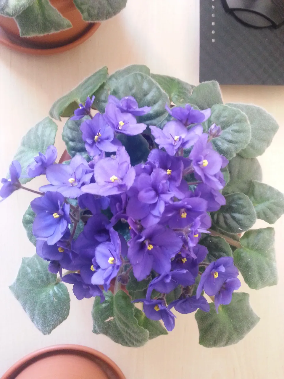 20170403_132633.jpg