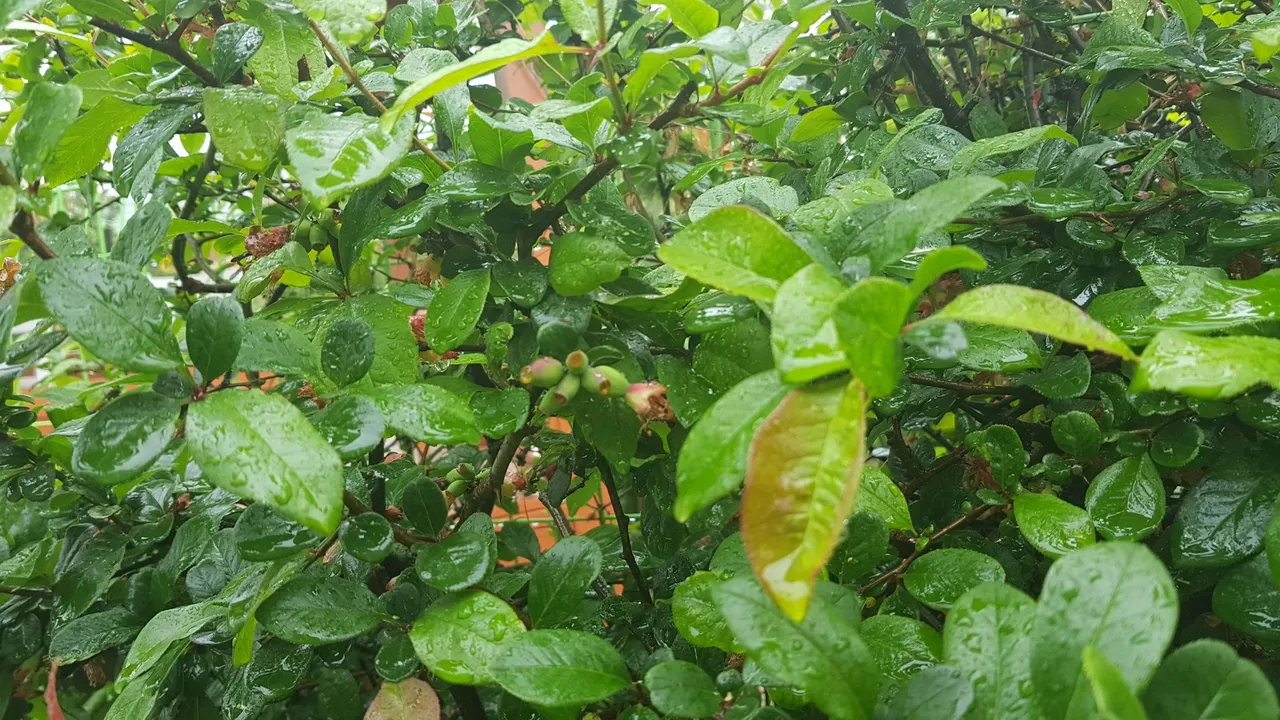 20180512_110446.jpg