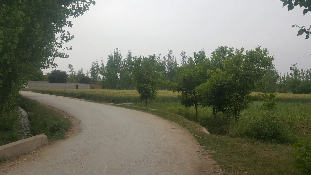 20180415_174134.jpg