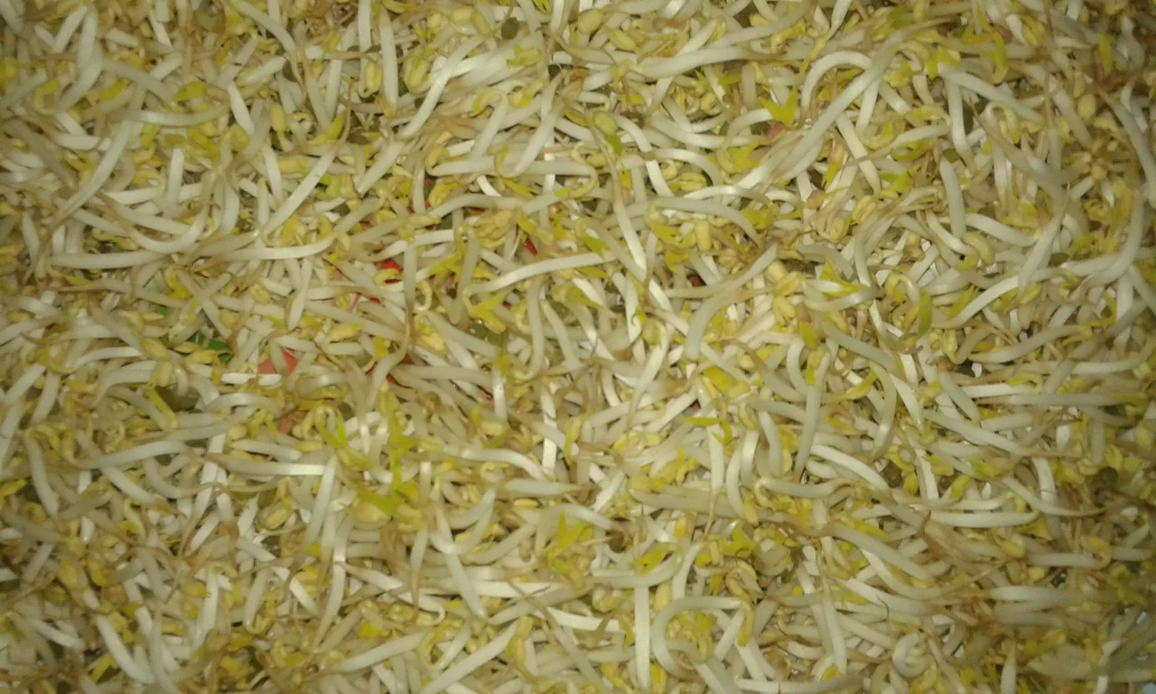 20180312_141826.jpg