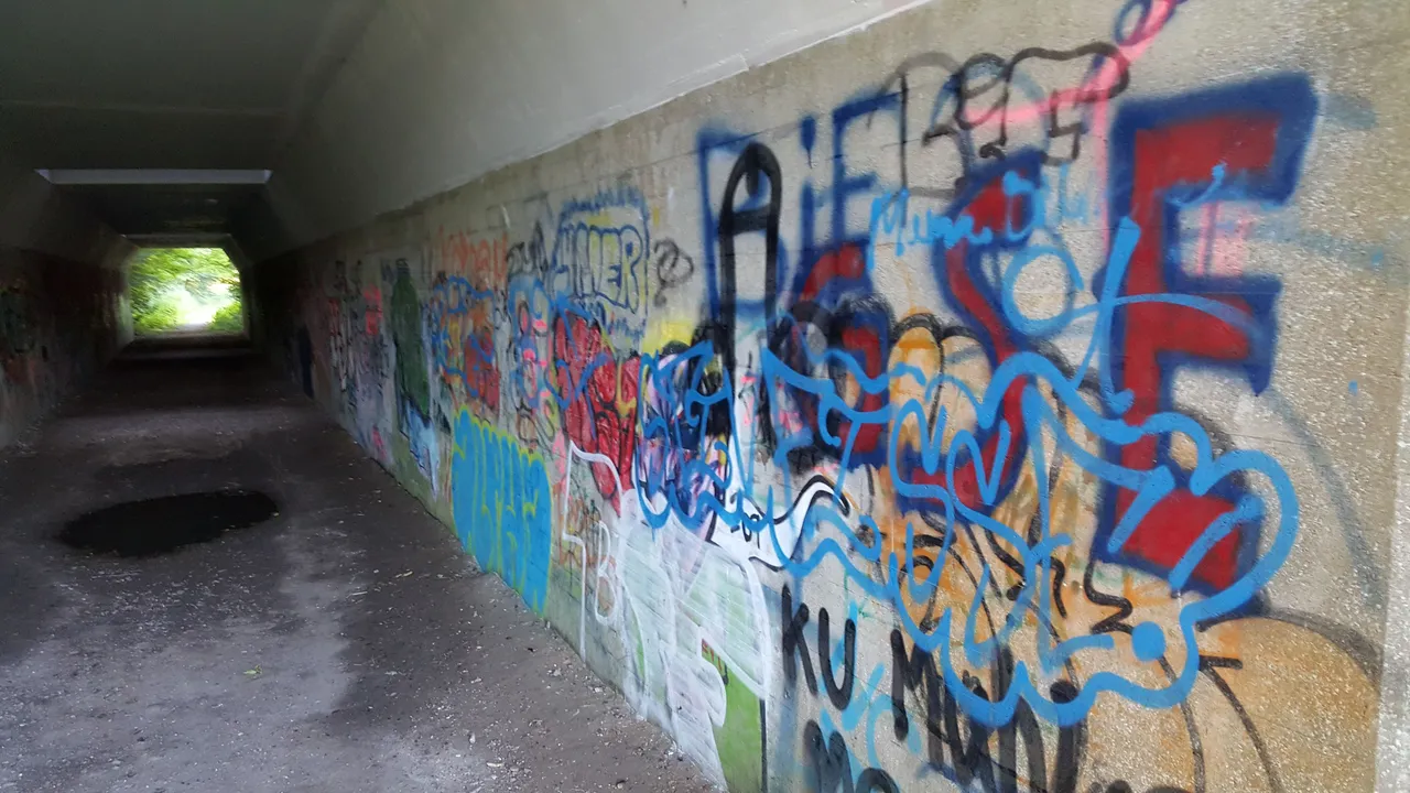 20170715_194341.jpg