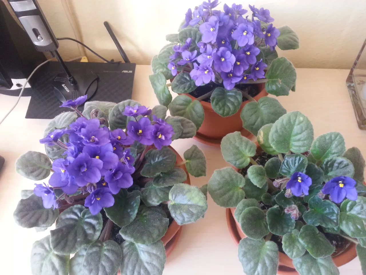 20170403_132601.jpg