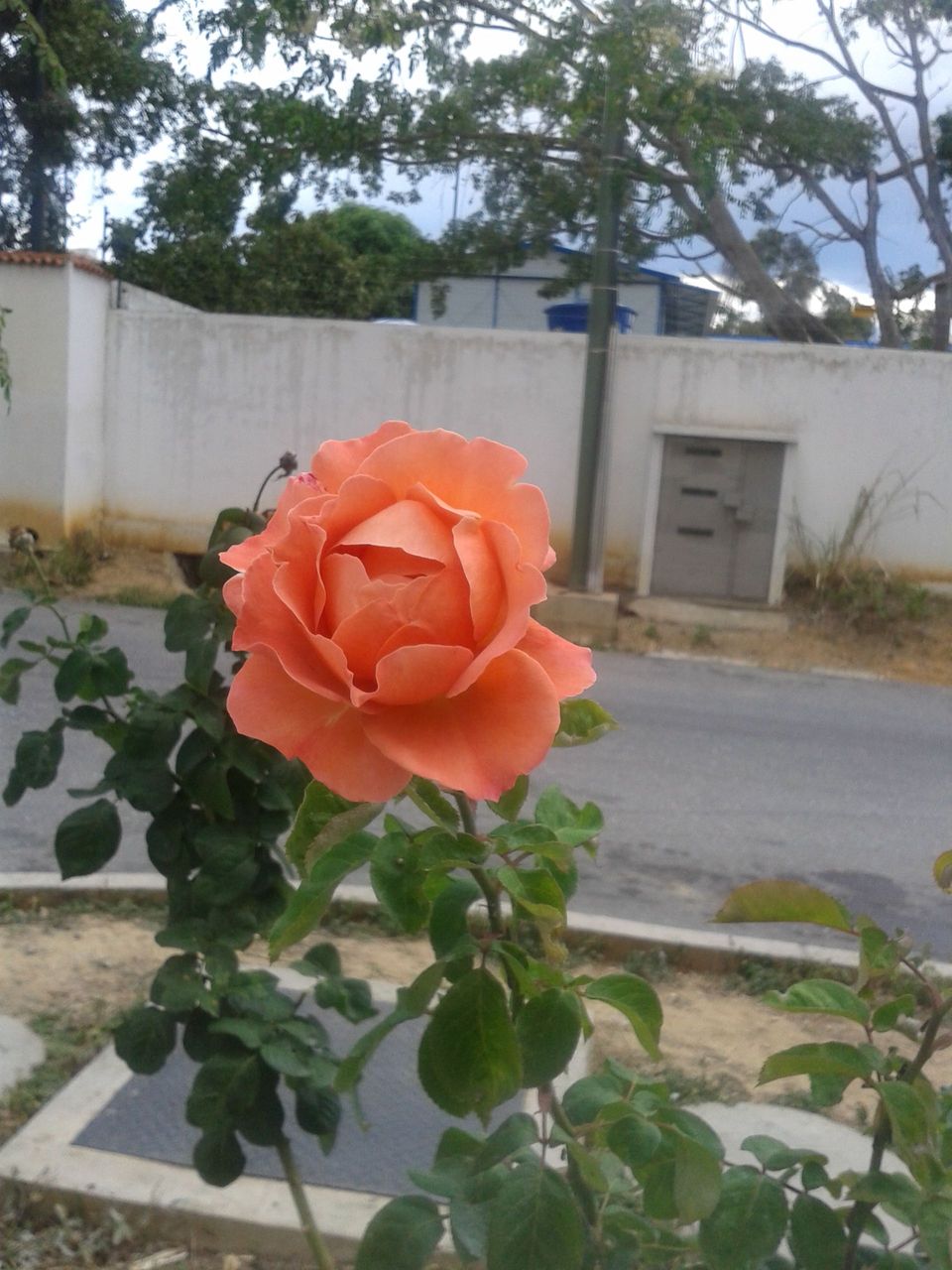 20180301_150610.jpg
