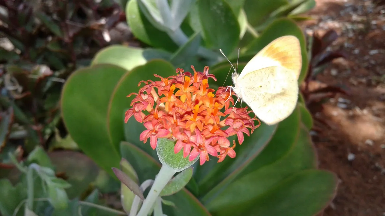 20180430_114927.jpg