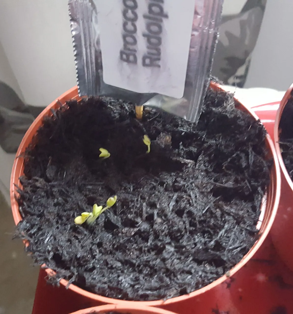 20180424_170127.jpg