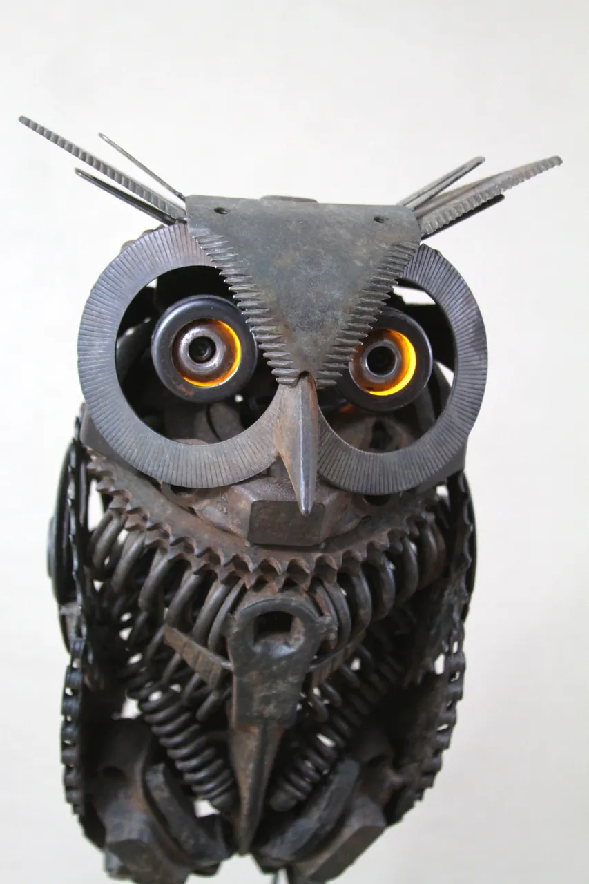 Owl Close 2.JPG