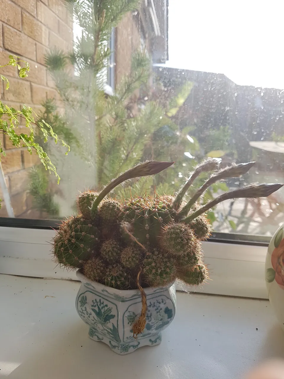 20180518_072154.jpg