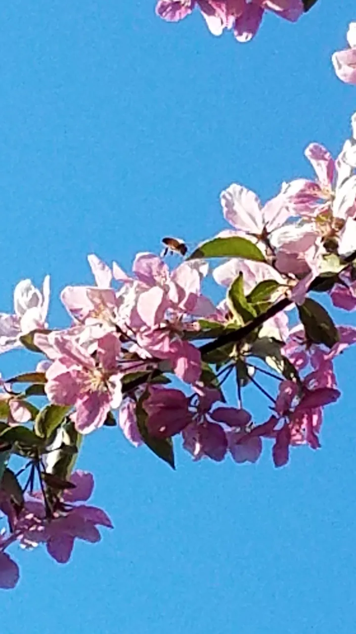 20180515_191210.jpg