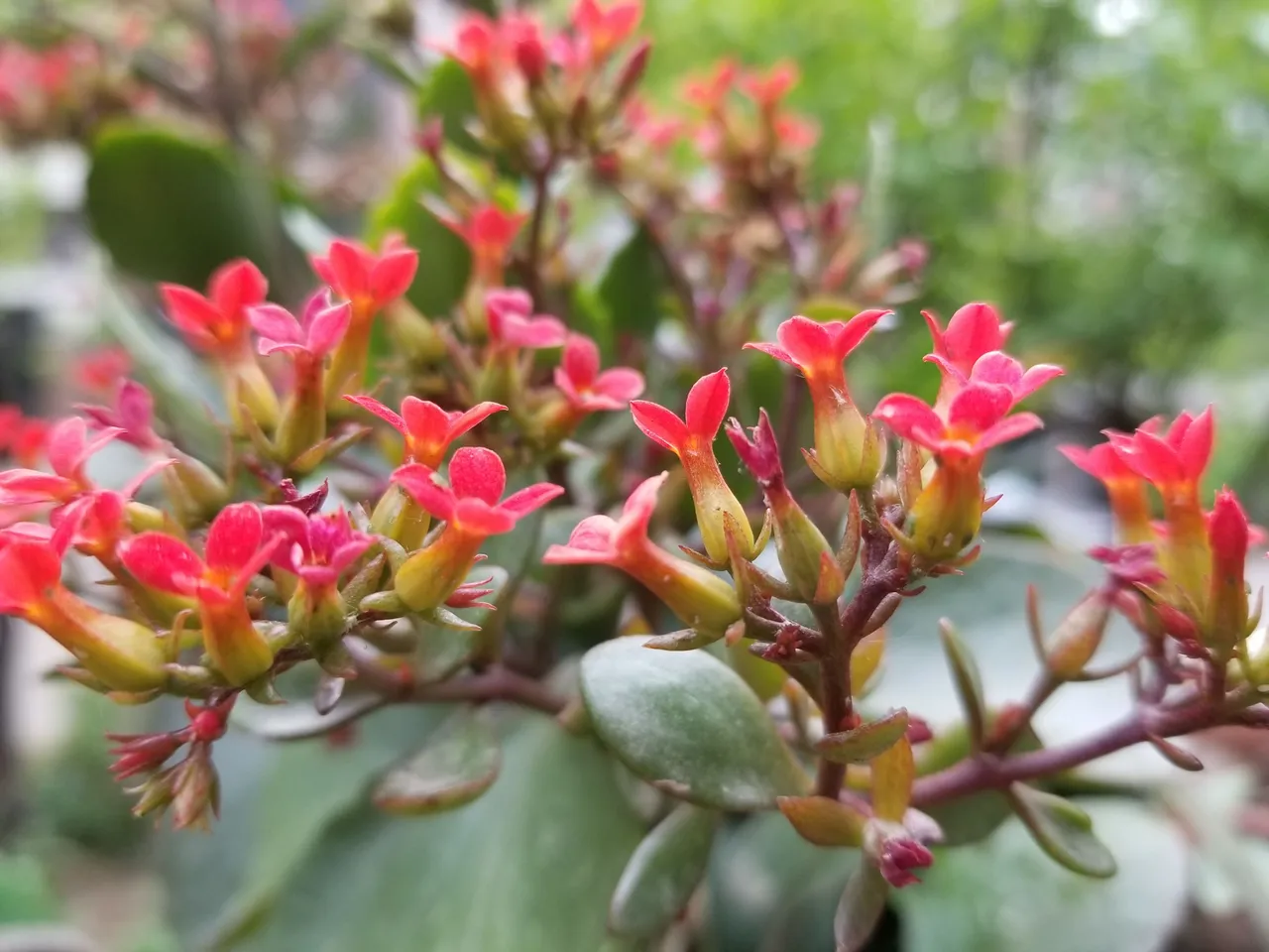 20180501_073546.jpg