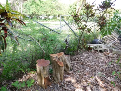 Bench Fence-620.JPG
