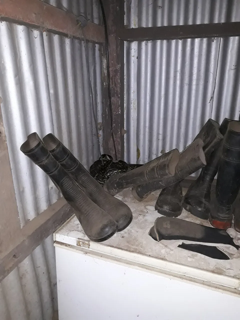 20180206_212539.jpg