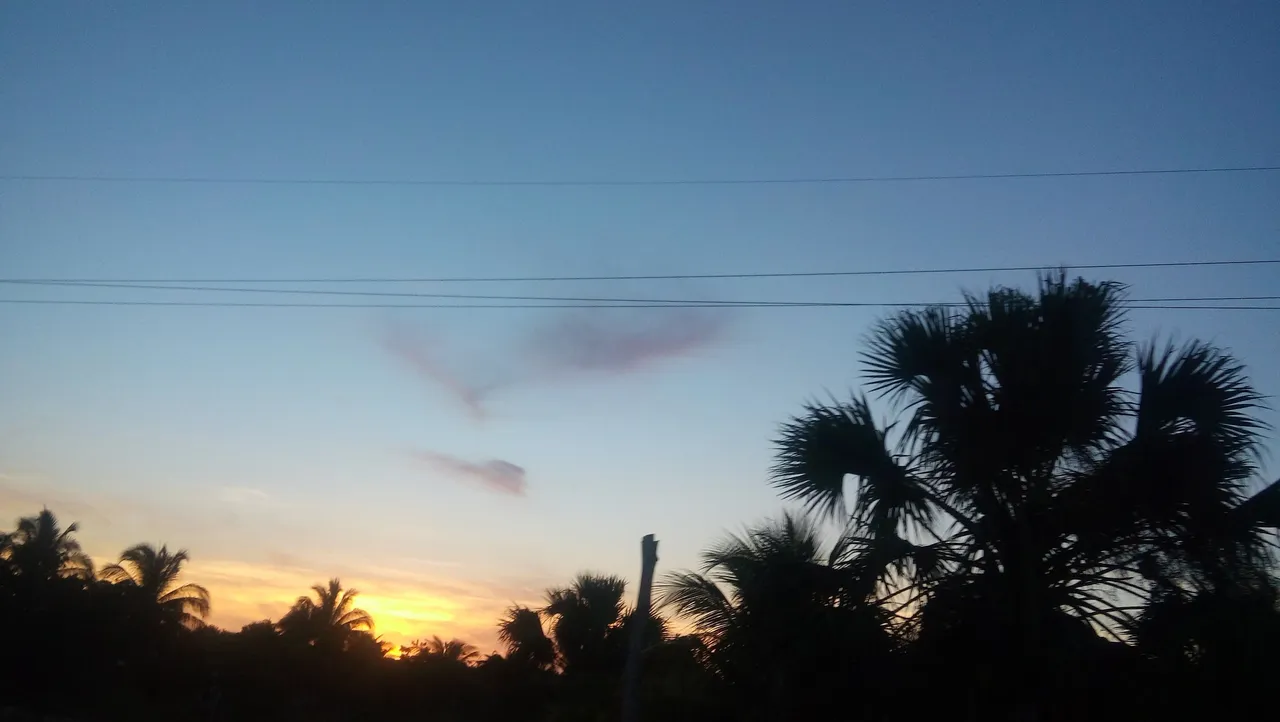 20160806_062553.jpg