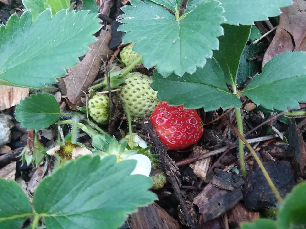 20180422_155343.jpg