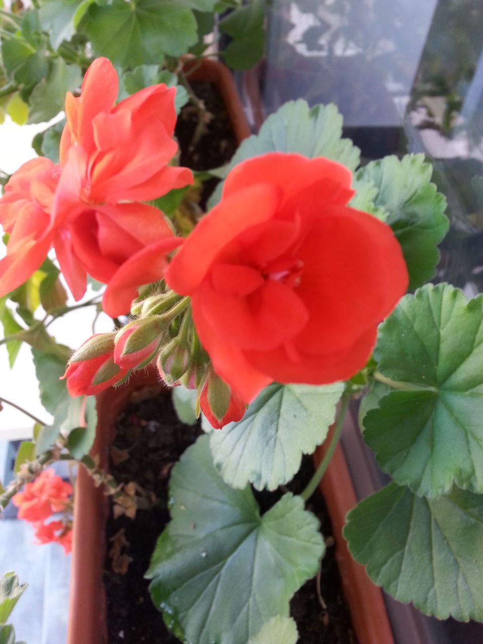 20180409_110225.jpg