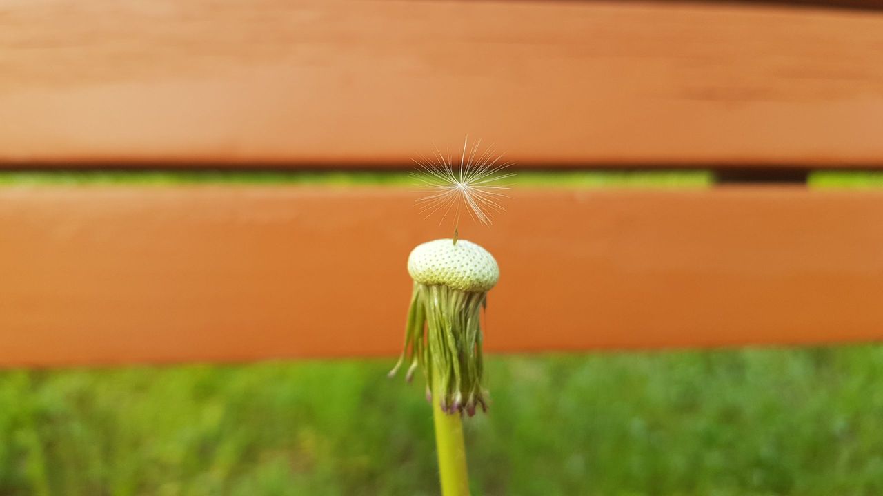 20180430_170558.jpg