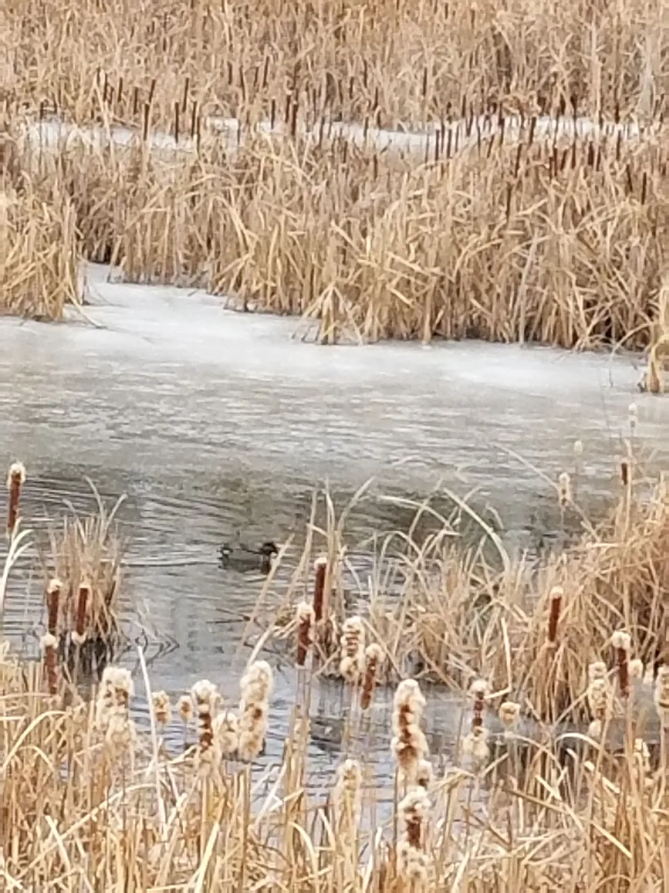 20171217_100419.jpg