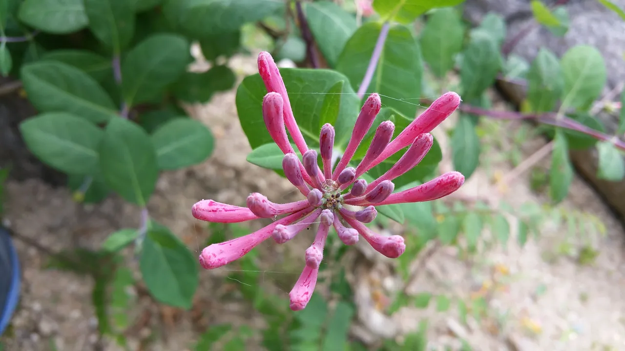 20160609_150351.jpg