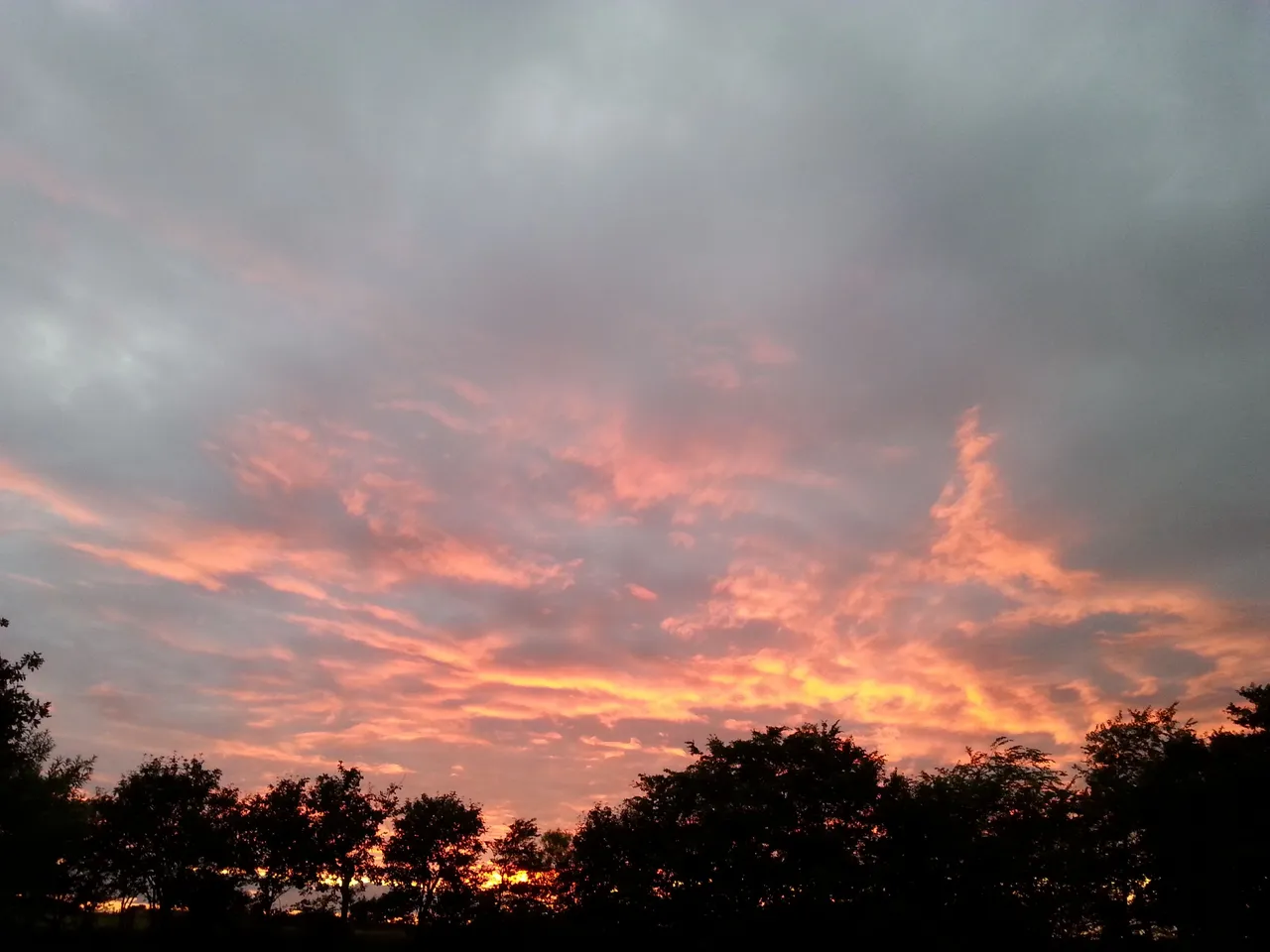 20170714_220207.jpg