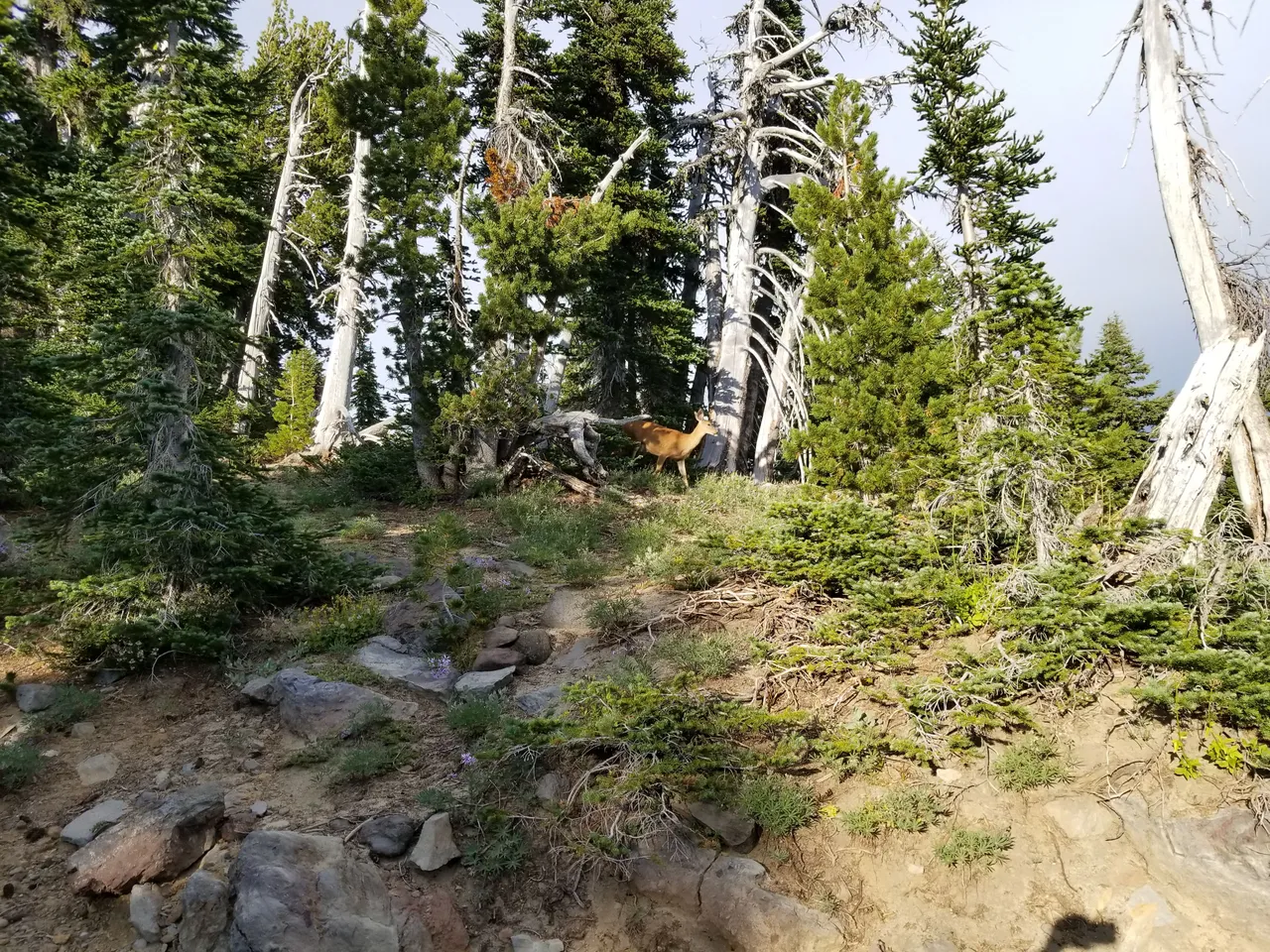 20170820_183914.jpg
