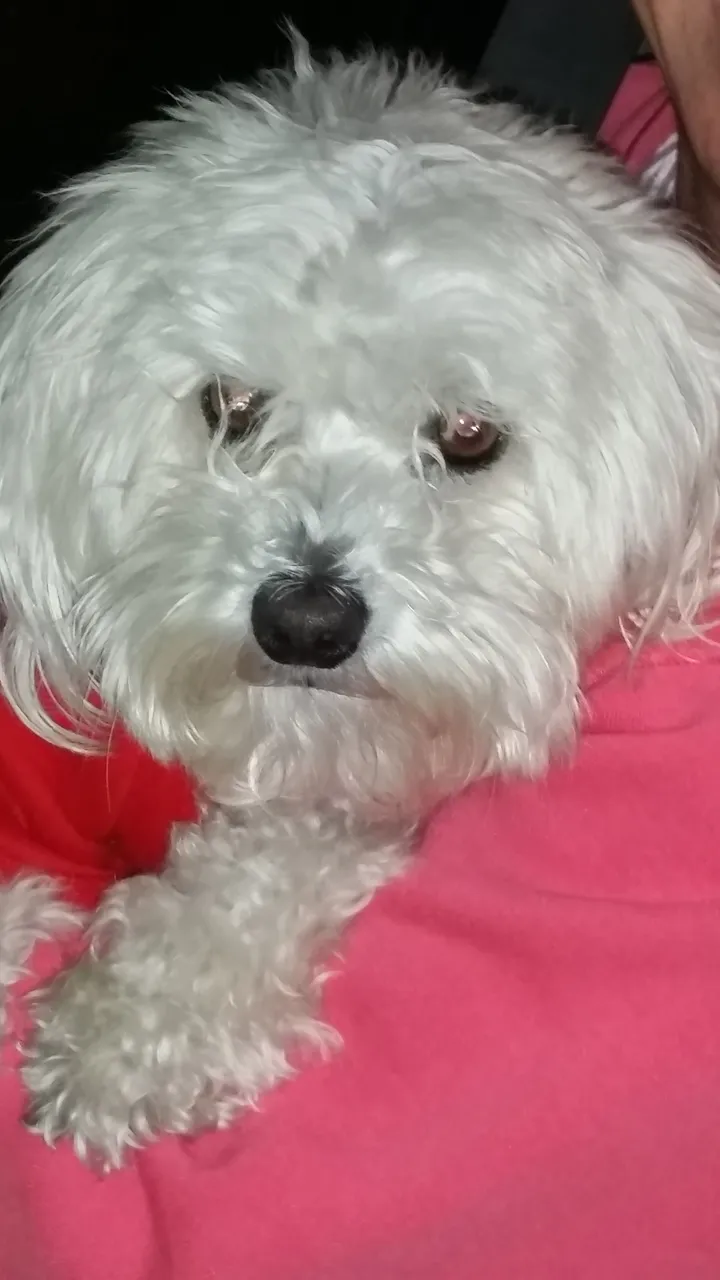 20180110_210748.jpg
