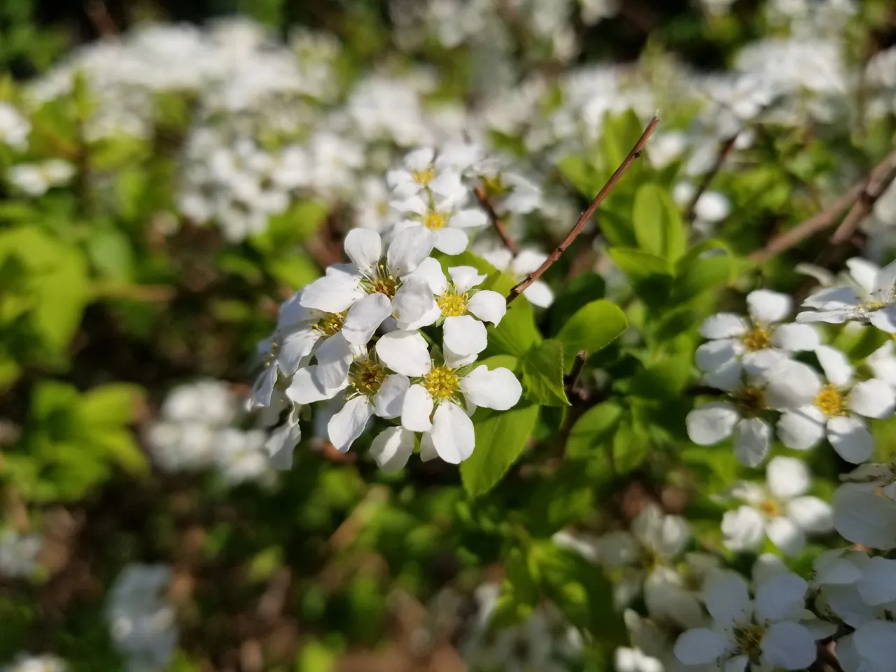 20180428_075123.jpg