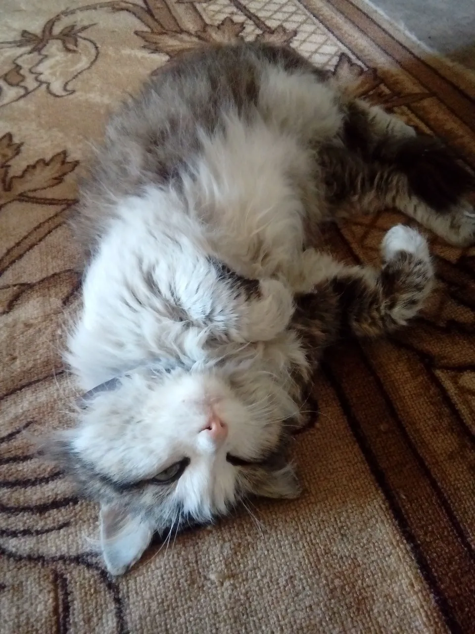 20180331_174711.jpg