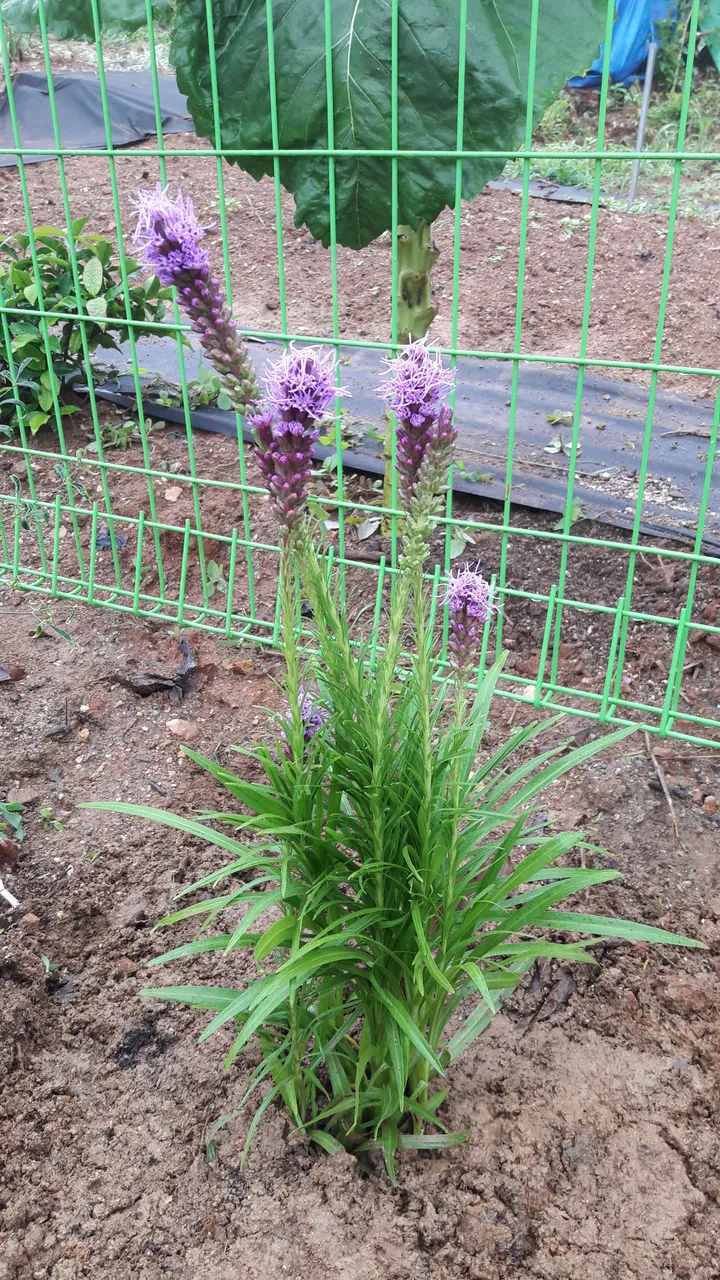 20170702_113019.jpg