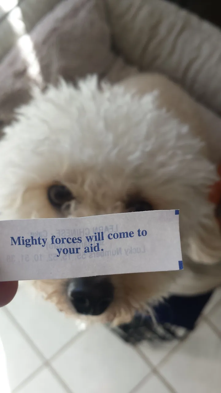 20150122_134653.jpg