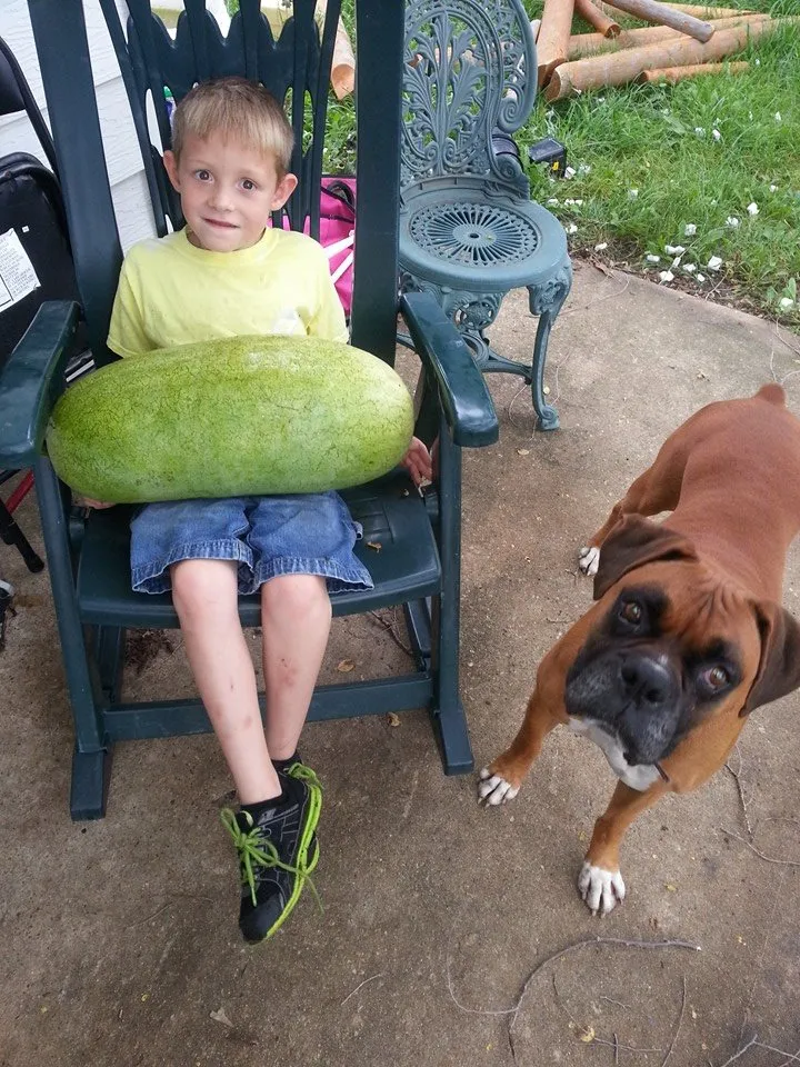 QT watermelon.jpg