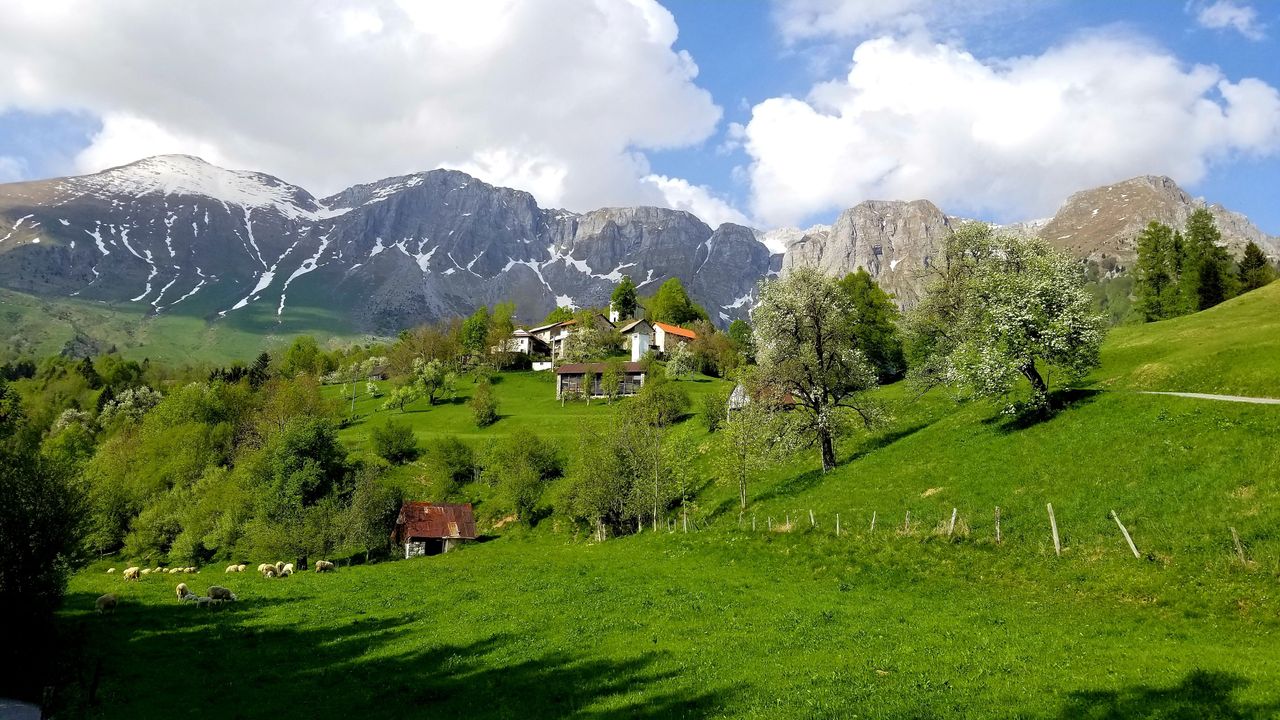 20180430_085856.jpg