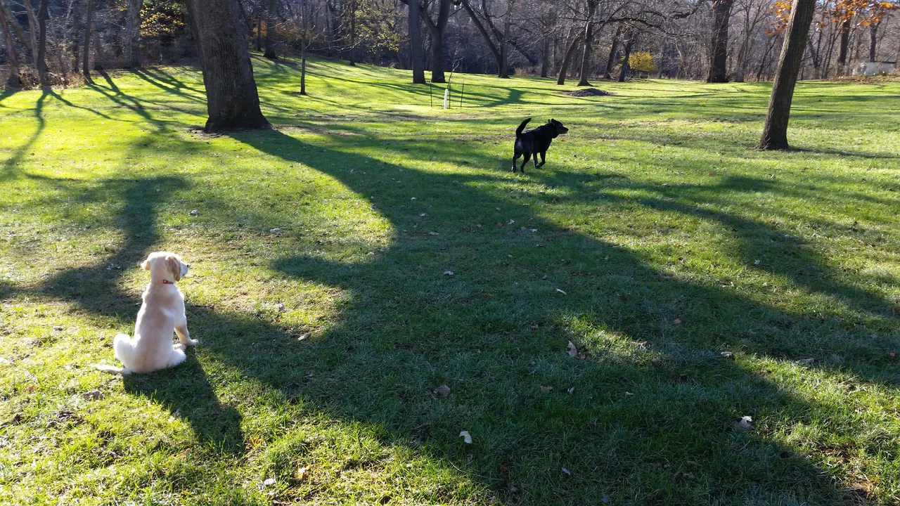 20171125_101314.jpg