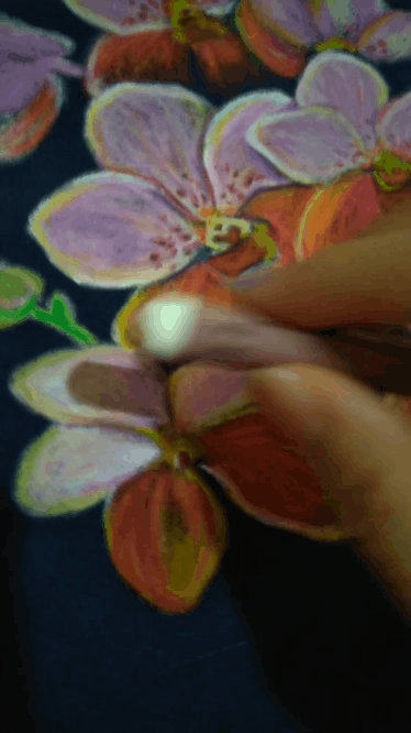 20180419_115804.gif