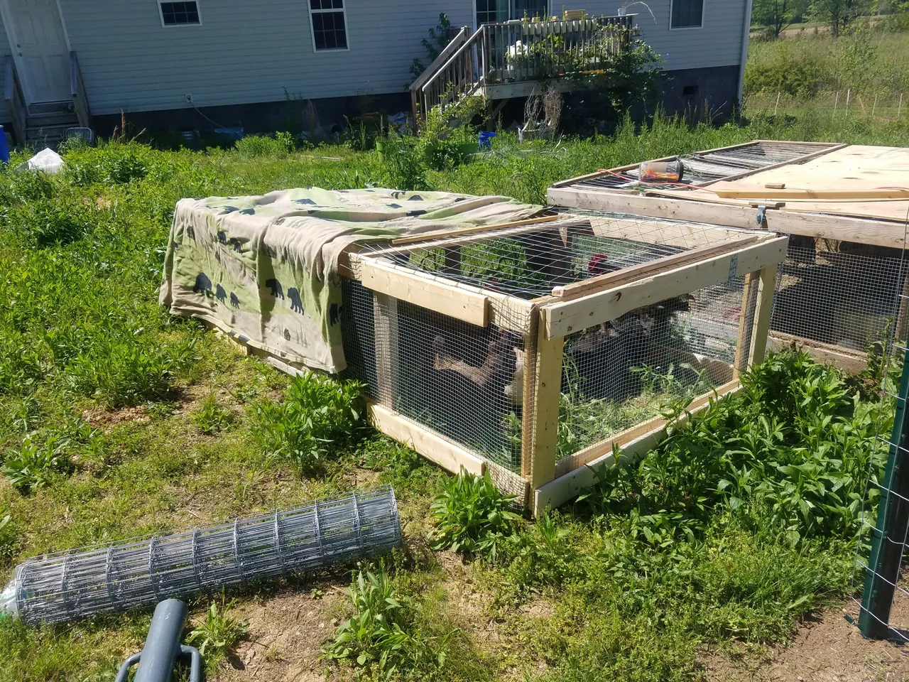 20180502_150447.jpg
