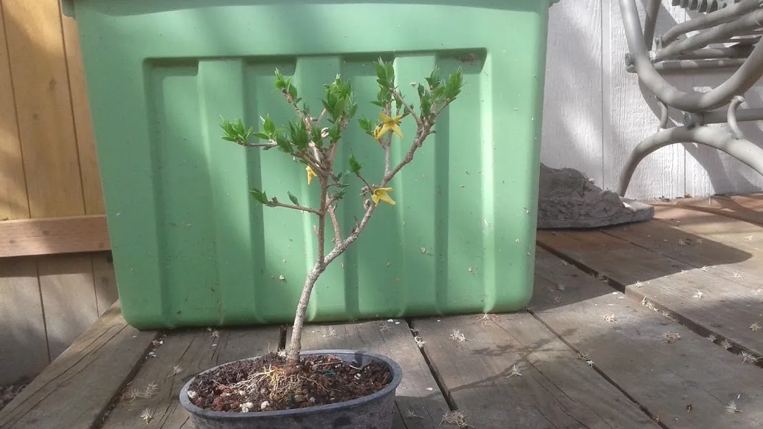 20180328_114226.jpg