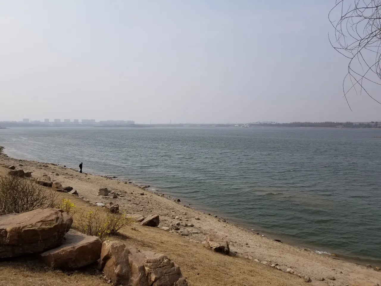 20180401_105018.jpg