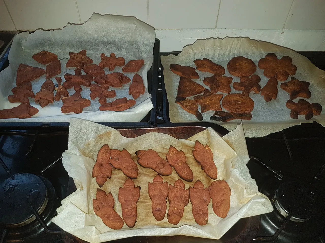 20180306_170705.jpg