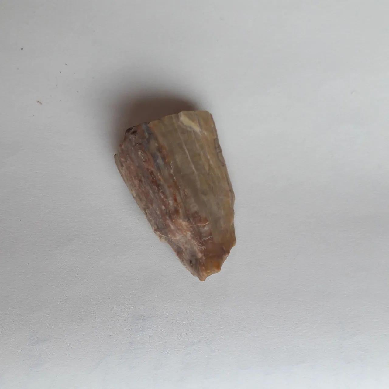 20180311_132724.jpg