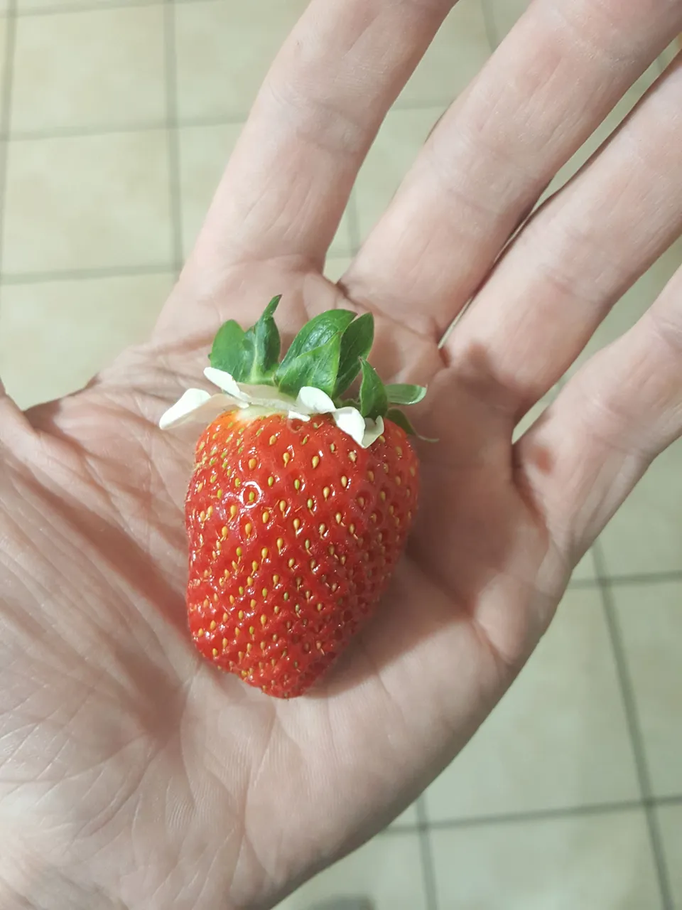 20180416_233059.jpg