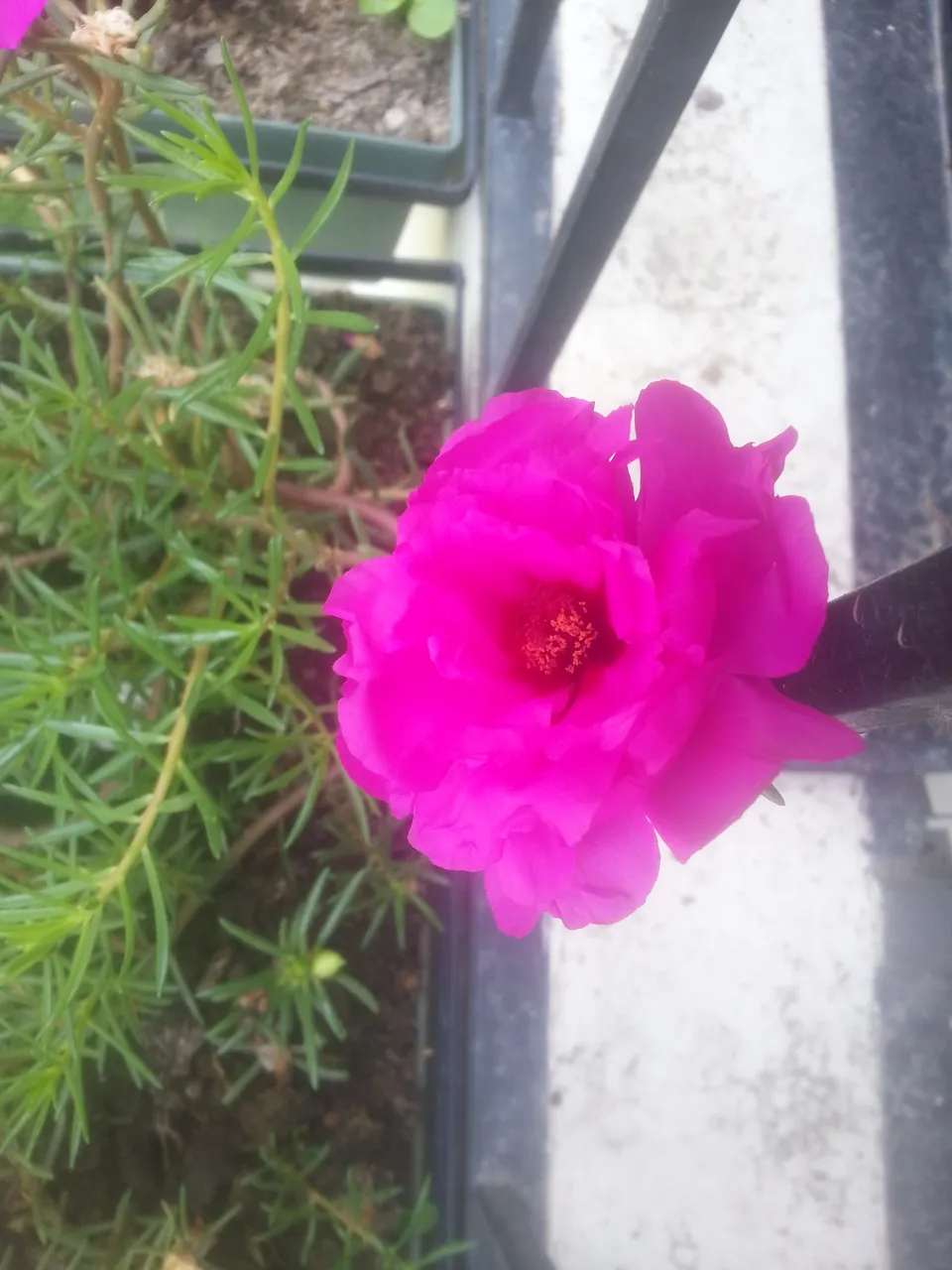 20180512_112449.jpg