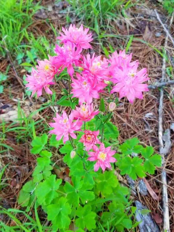 20180507_071556.jpg