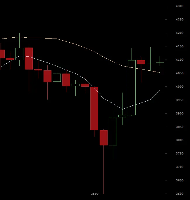 dark-1-bitfinex.png