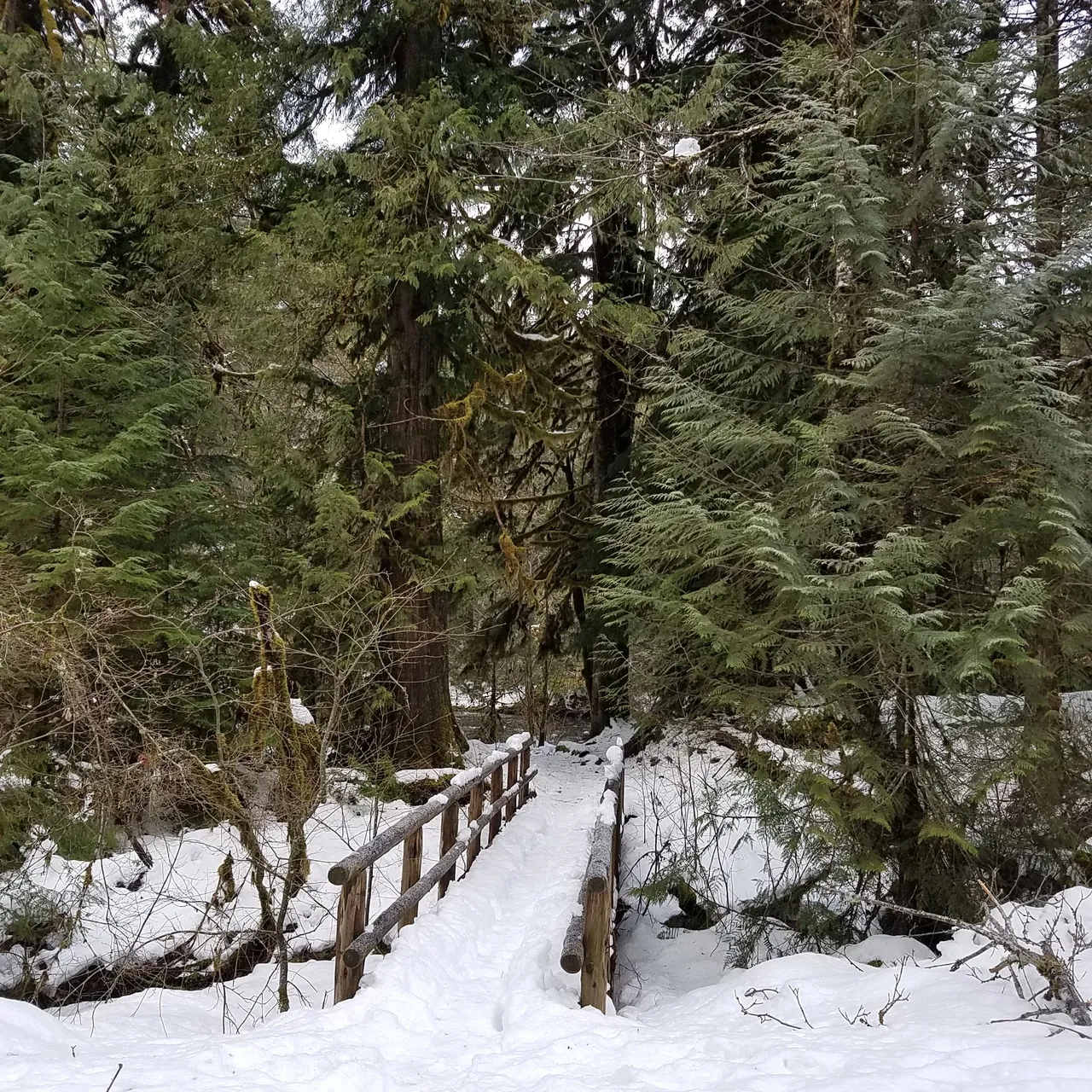 20180303_091948.jpg