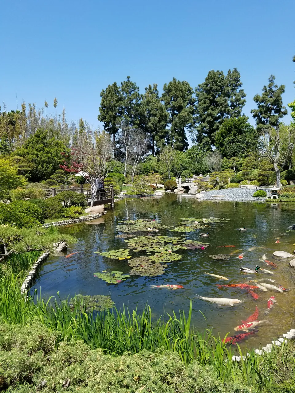 20180427_120741.jpg