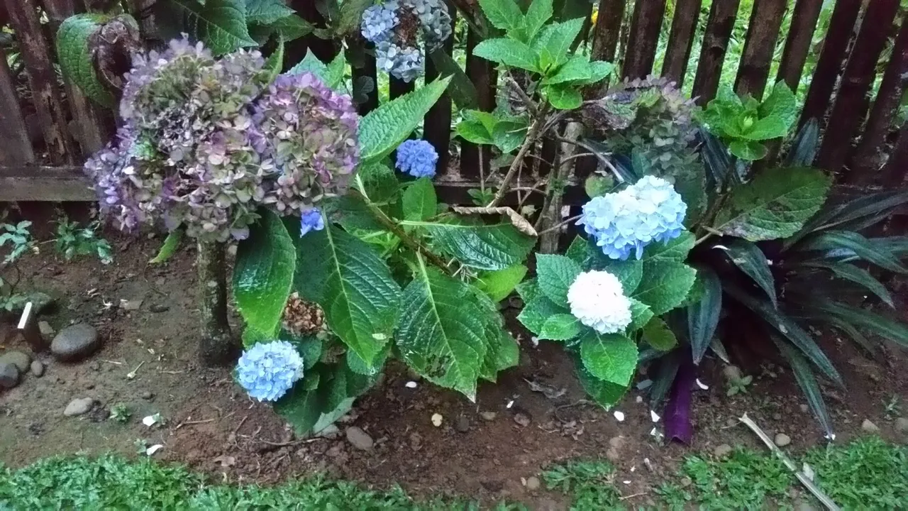 20170328_063834.jpg